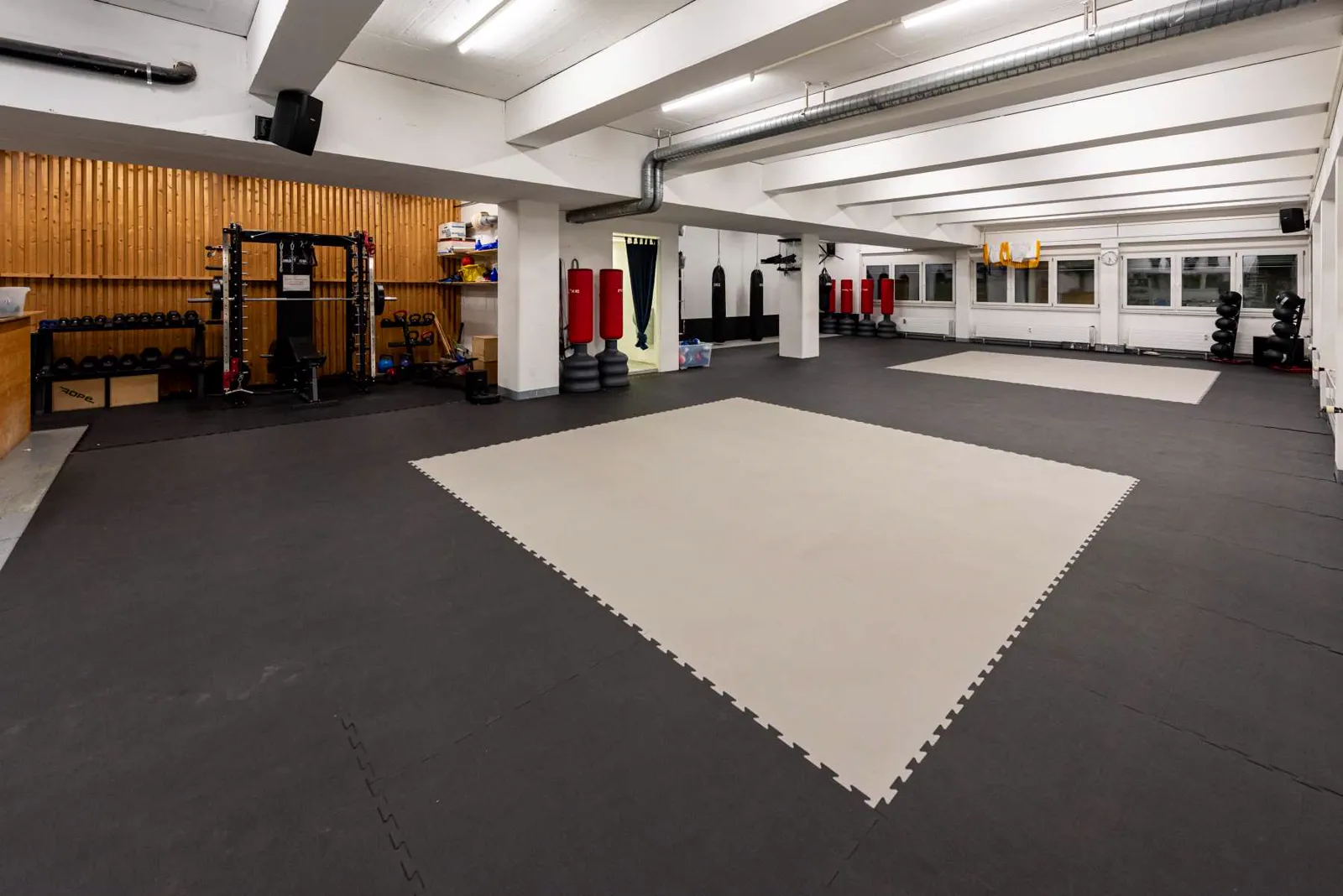 Trainingsraum mit Mattenfläche und Kraftbereich